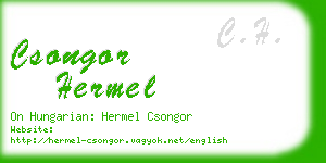 csongor hermel business card